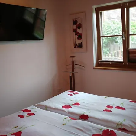 Pleasant In Apartment
